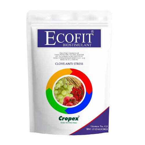 ECOFIT