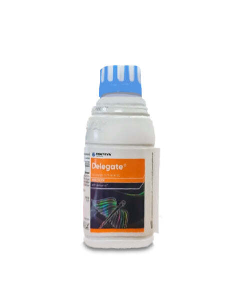 DELEGATE 100ML