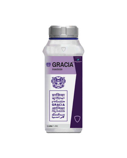 Gracia