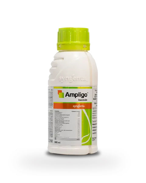 AMPLIGO