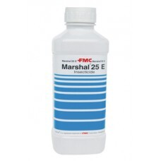MARSHAL 25 EC