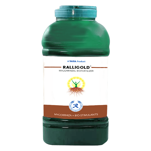 Ralligold GR Fungicide