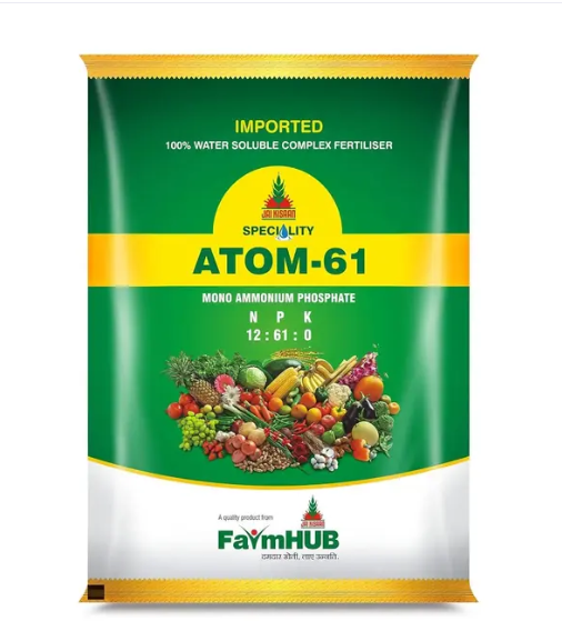 Atom-61