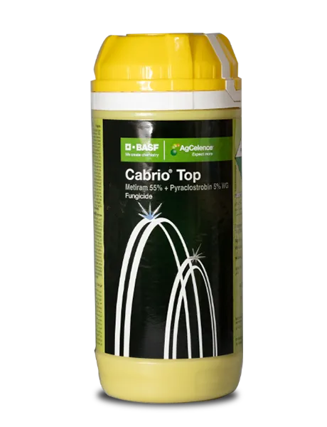 CABRIO TOP