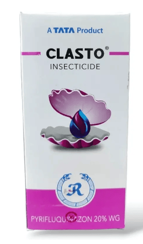 Clasto