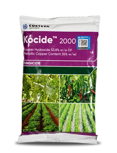 KOCIDE 2000