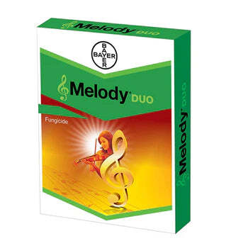 MELODY DUE