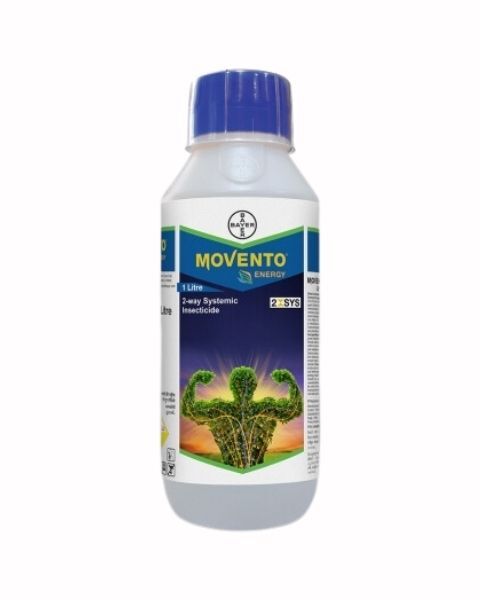 MOVENTO ENERGY