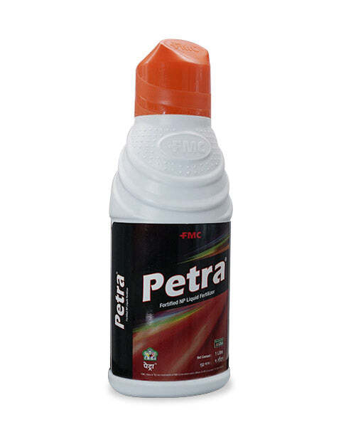 Petra