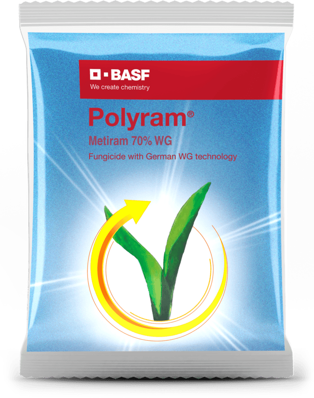 POLYRAM