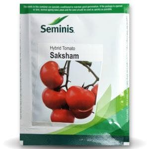 Saksham Tomato Seeds