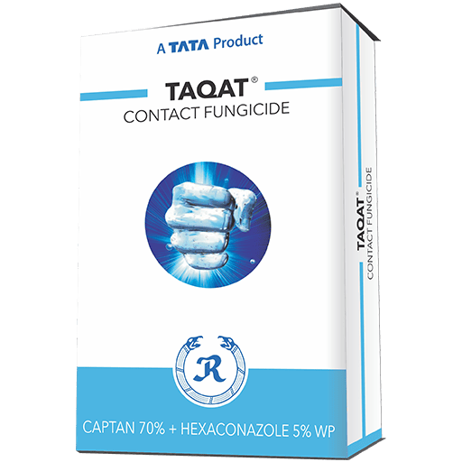 Taqat