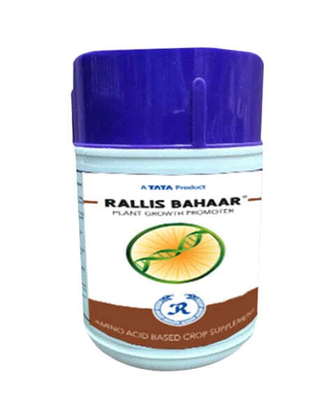 Tata bahar