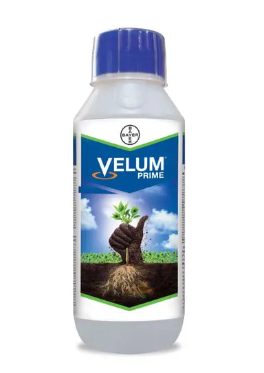 Velum® Prime Nematicide