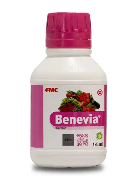 Benevia® (240 ml)