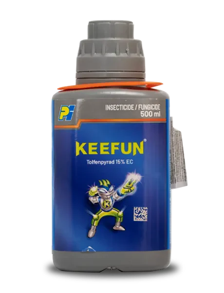 KEEFUN