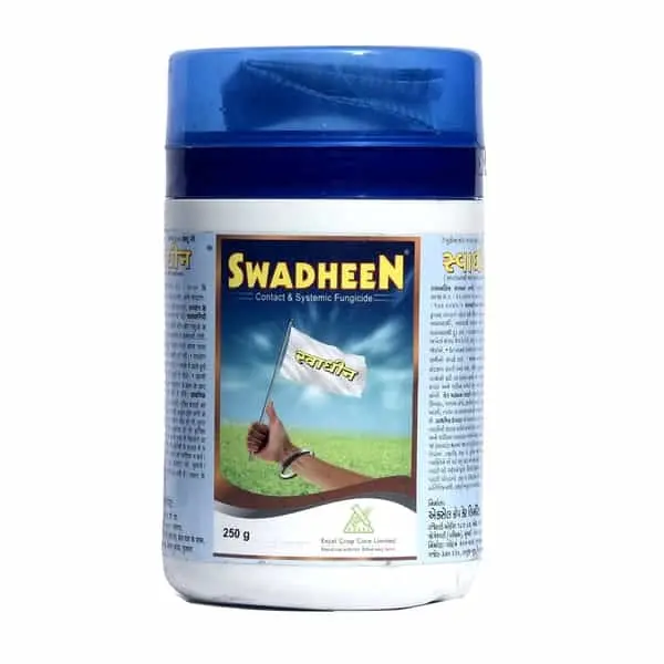 Swadheen (250 gms)