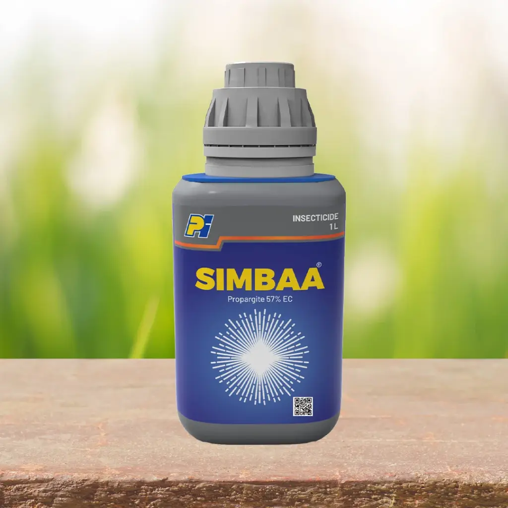 SIMBAA