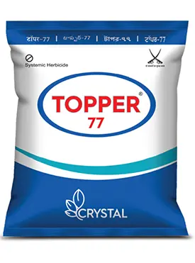 TOPPER 77