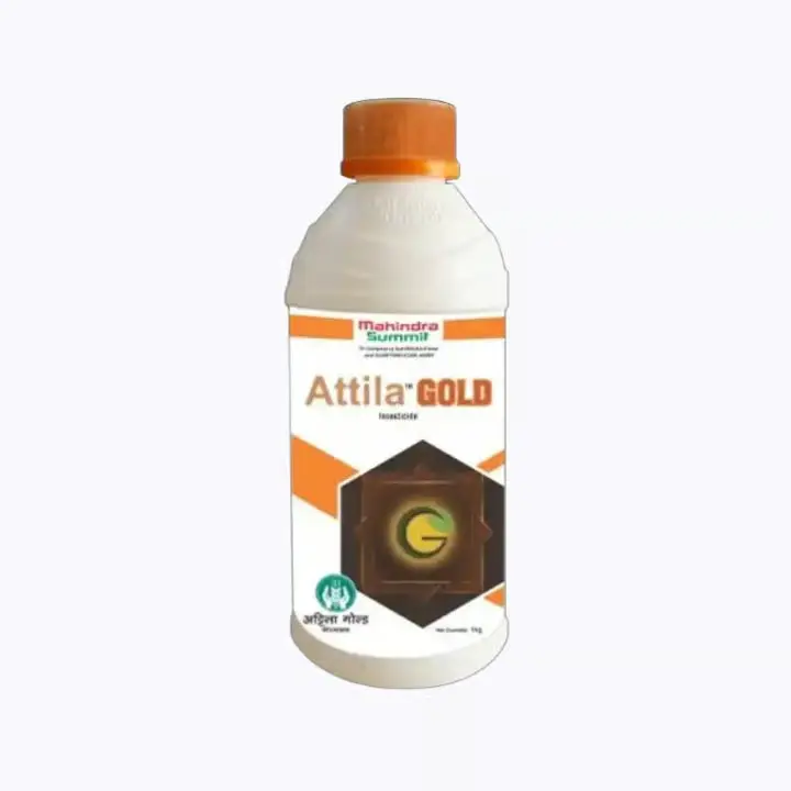 ATILLA GOLD