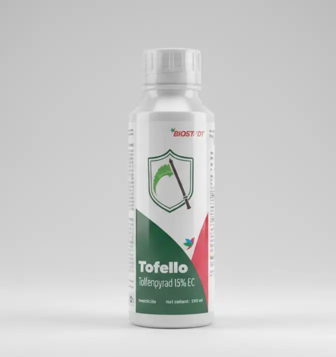 TOFELLO