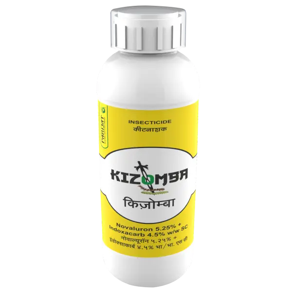 KIZOMBA (100 ml)