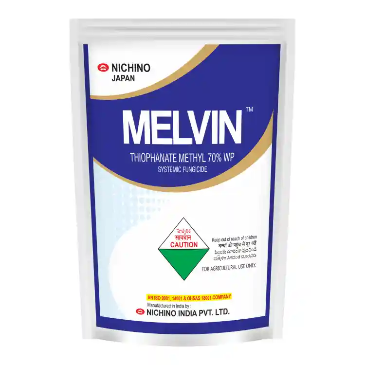 MELVIN