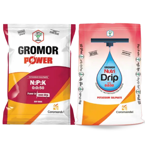 GROMOR SOP 0:0:50