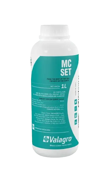 MC SET