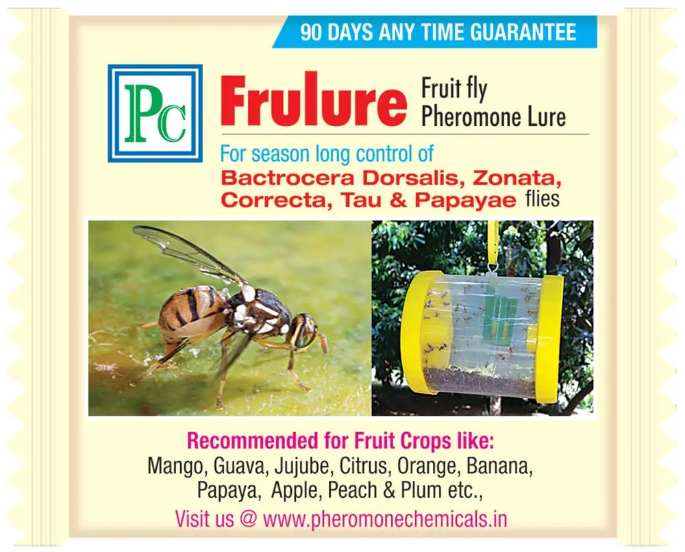 Fru Lure