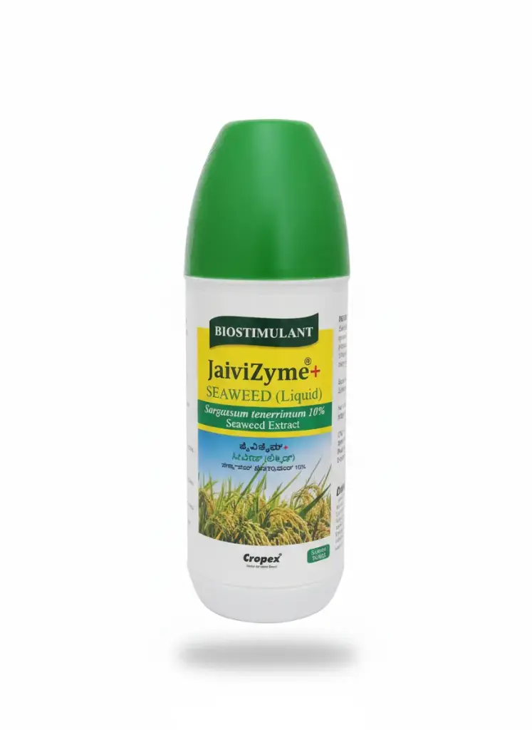 Jaivizyme Sargassum Tenerrimum 10%
