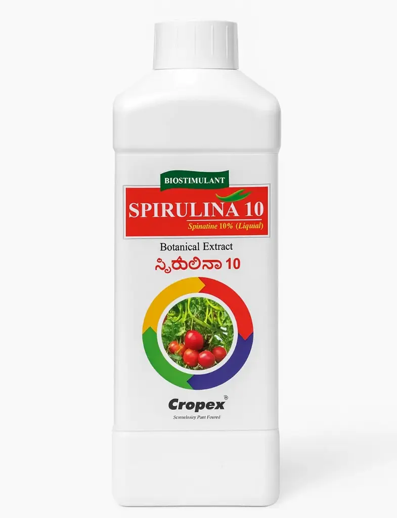 SPIRULINA 10%