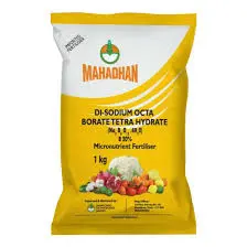 Mahadhan Boro-CalNit