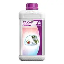 TAKAF