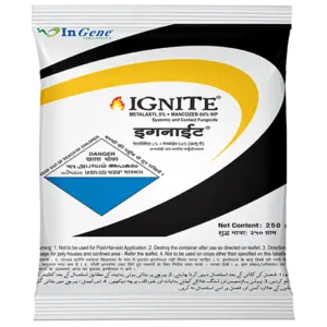 IGNITE (250 gms)