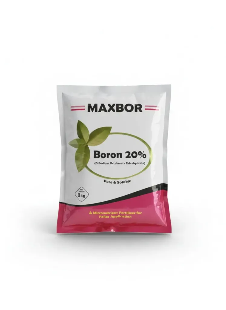 Maxbor