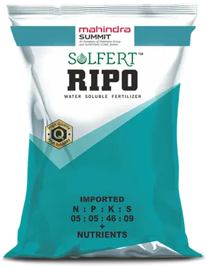 SOLFERT RIPO 5:5:46:9