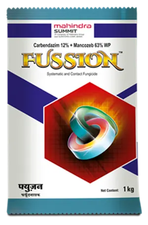 FUSSION (250 gms)