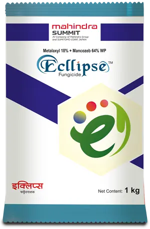 ECLIPSE (250 gms)