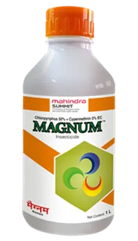 MAGNUM (250 ml)