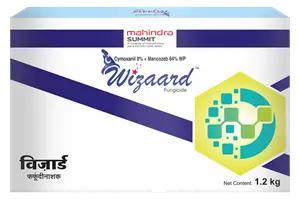WIZAARD (300 gms)