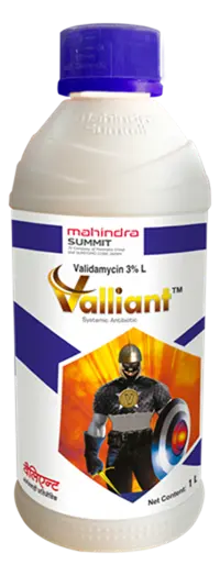 VALLIANT