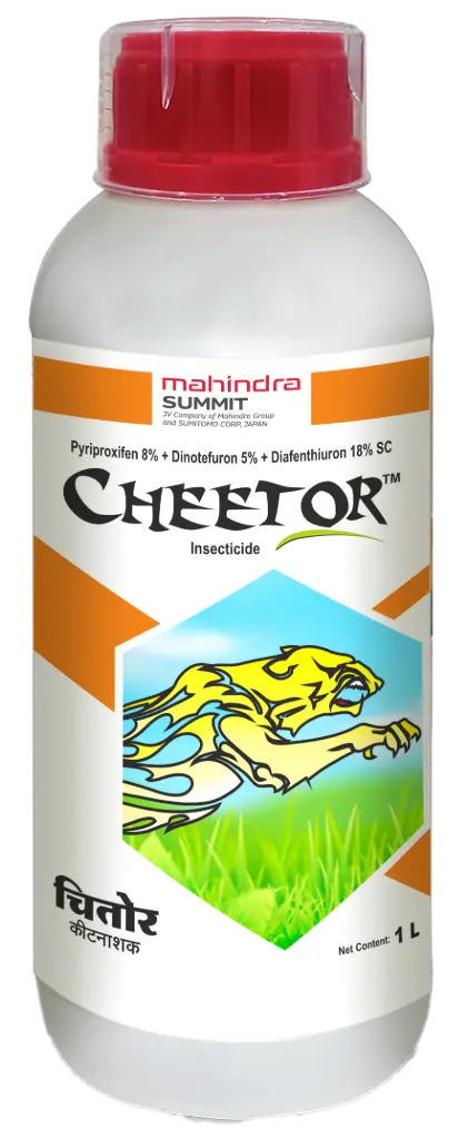 CHEETOR