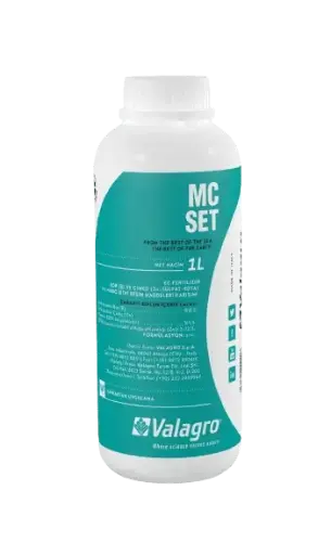 MC SET