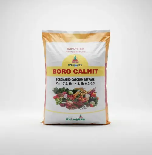Jai Kisaan Boro-CalNit