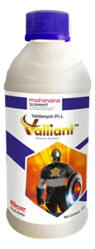 VALLIANT