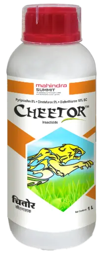 CHEETOR