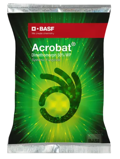 Acrobat®