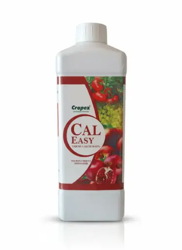 CAL EASY